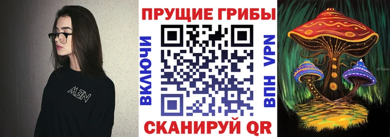 KRAKEN ссылка  Зуевка  Псилоцибиновые грибы прущие грибы 